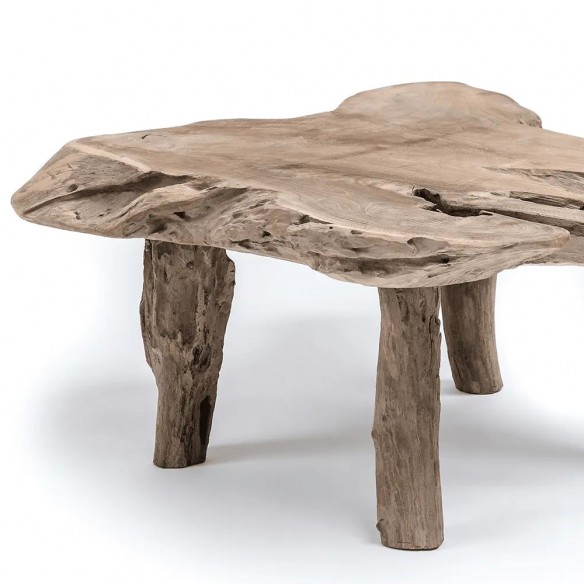 NINA Coffee Table in Teak Root H40cm