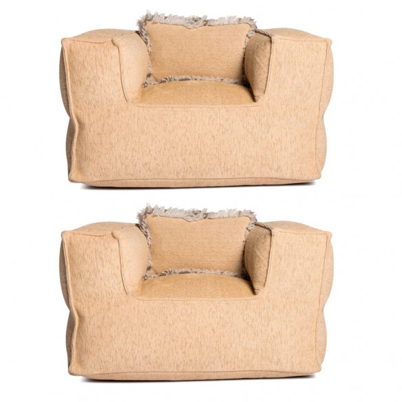 Duo de fauteuils VELTY CLUB or