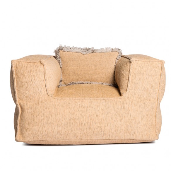 Duo de fauteuils VELTY CLUB or