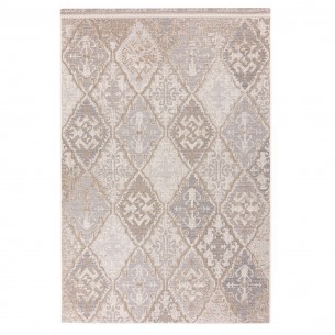 Tapis d'extérieur BRIGHTON Gris en polypropylène 230x330cm 2