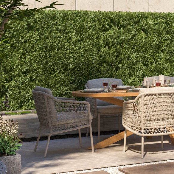 Outdoor Dining Set PETRA Round Table in Teak W240 with 6 PALOMA Taupe Chairs with Cream Beige Cushions